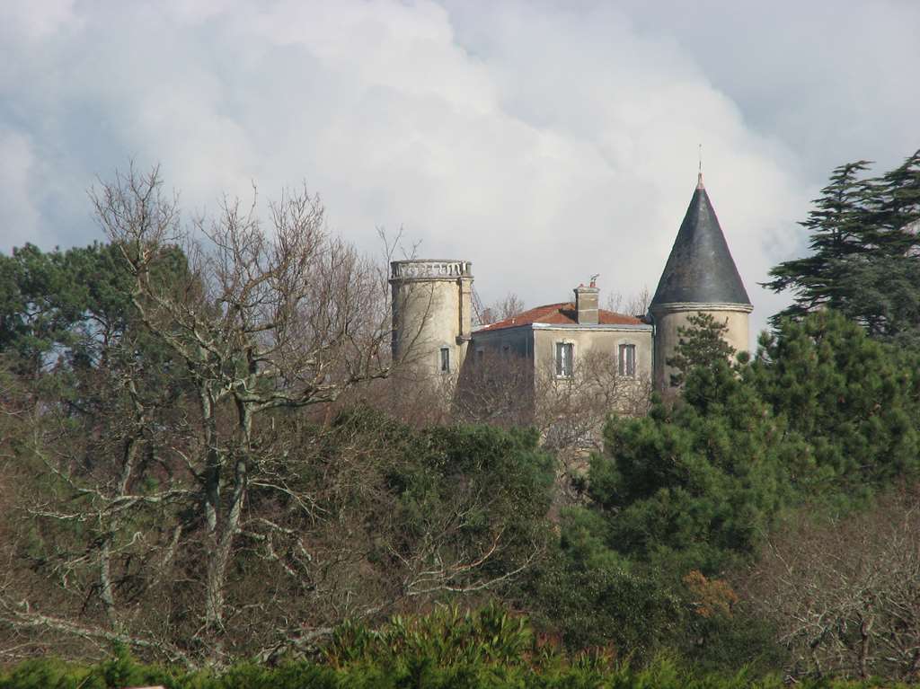 Château de la Roque vu de l'Etang de Garros